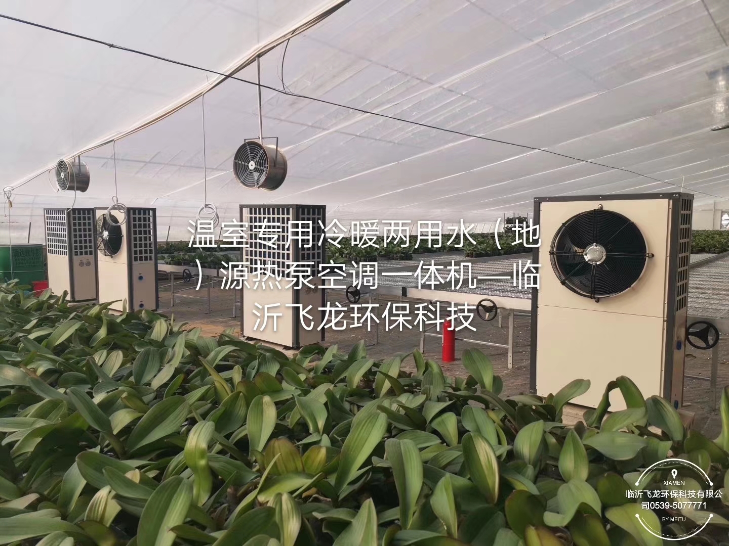 飞龙温控带你提前了解夏季蔬菜和花卉温室大棚降温的10种方法