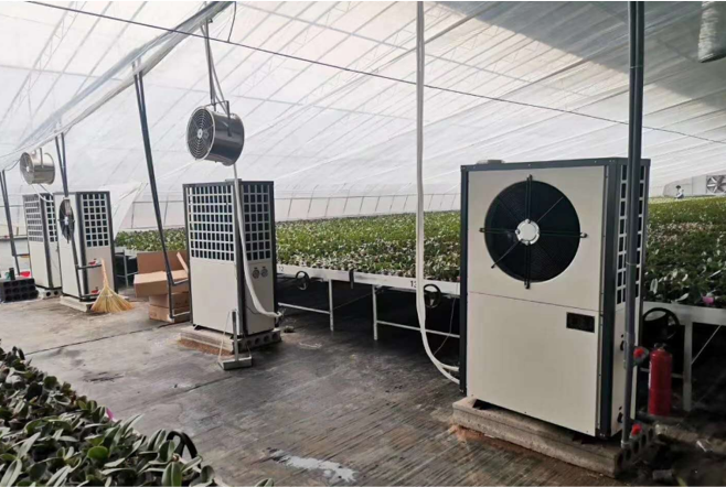 生物质锅炉-暖风机-龙岩腾飞双龙花卉-卢志斌（蝴蝶兰种植-2万㎡）