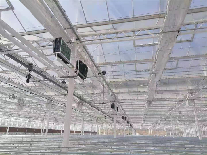 青岛中荷智慧农业