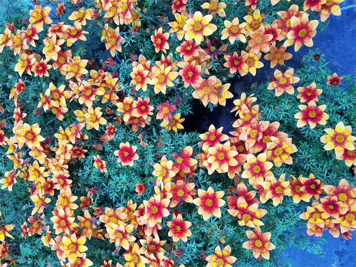 20191210_161402.jpg